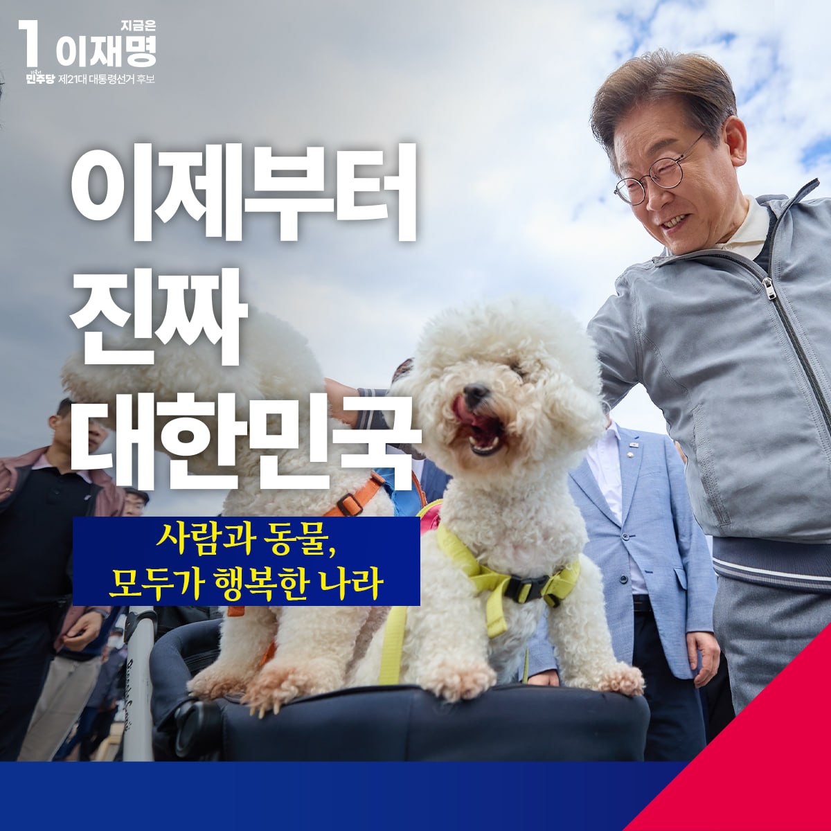 [이재명 후보 반려동물 정책 발표문] 사람과 동물이 더불어 행복한 동물복지 선진국을 만들겠습니다